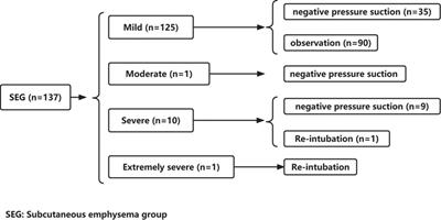 Clinical outcome and risk factors for subcutaneous emphysema in patients with lung cancer after video-assisted thorascopic surgery